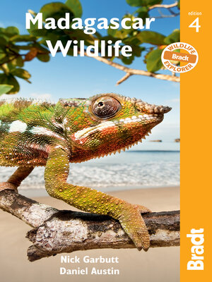 cover image of Madagascar Wildlife